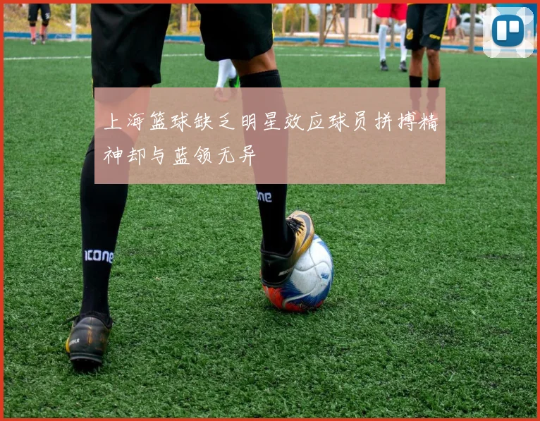 上海篮球缺乏明星效应球员拼搏精神却与蓝领无异
