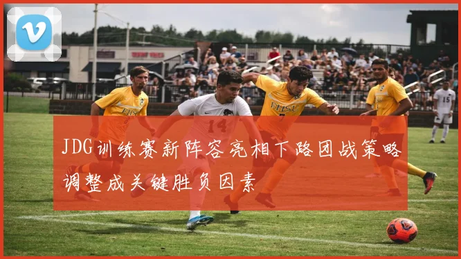 JDG训练赛新阵容亮相下路团战策略调整成关键胜负因素